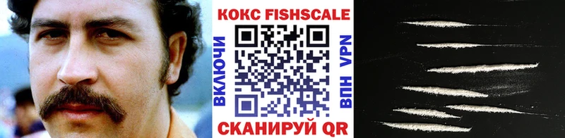 Купить  Новосокольники  Cocaine 97% 