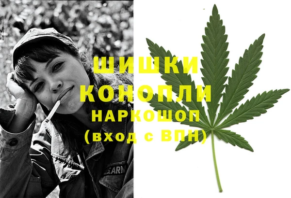 сатива Балабаново