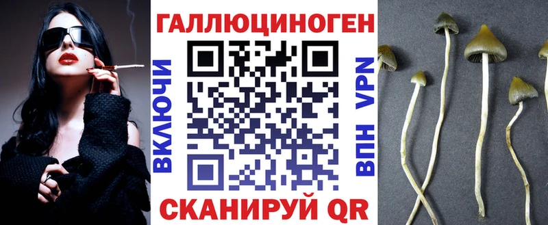 Псилоцибиновые грибы Magic Shrooms Новосокольники